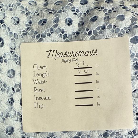 J. Crew Daisy Eyelet Bell Sleeve Blouse Jewel Neck Back Zip Up 10 Baby Blue - Picture 9 of 15